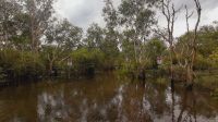 Rundreise Australien - Fahrt zur Bootsanlegestelle des Yellow River