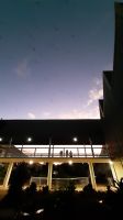 Rundreise Australien - Flughunde am Abend