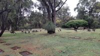 Rundreise Australien - Kängurus in Perth