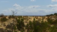 Rundreise Australien - Pinnacles-Kalksteinfelsen