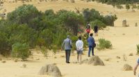 Rundreise Australien - Pinnacles-Kalksteinfelsen