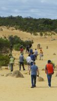 Rundreise Australien - Pinnacles-Kalksteinfelsen
