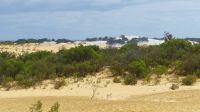 Rundreise Australien - Pinnacles-Kalksteinfelsen