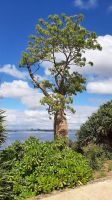 Rundreise Australien - Rundfahrt in Perth mit Botanischen Garten