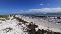 Rundreise Australien - Stopp am Meer