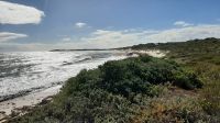 Rundreise Australien - Stopp am Meer