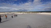 Rundreise Australien - Stopp bei den White Sands-Dünen