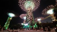 Rundreise Australien - Stoppover in Singapur - Gardens by the Bay
