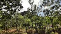 Rundreise Australien - Wanderung um den Nourlangiefelsen im Kakadu-Nationalpark