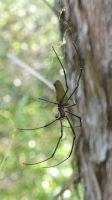 Rundreise Australien - Wanderung um den Nourlangiefelsen im Kakadu-Nationalpark