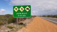 Rundreise Australien - unterwegs