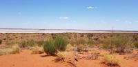 Sanddüne im Outback 