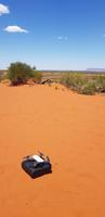 Sanddüne im Outback 