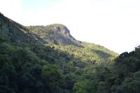 Scenic Railway (14)