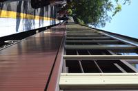 Scenic Railway (4)
