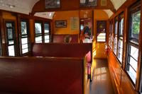 Scenic Railway (6)