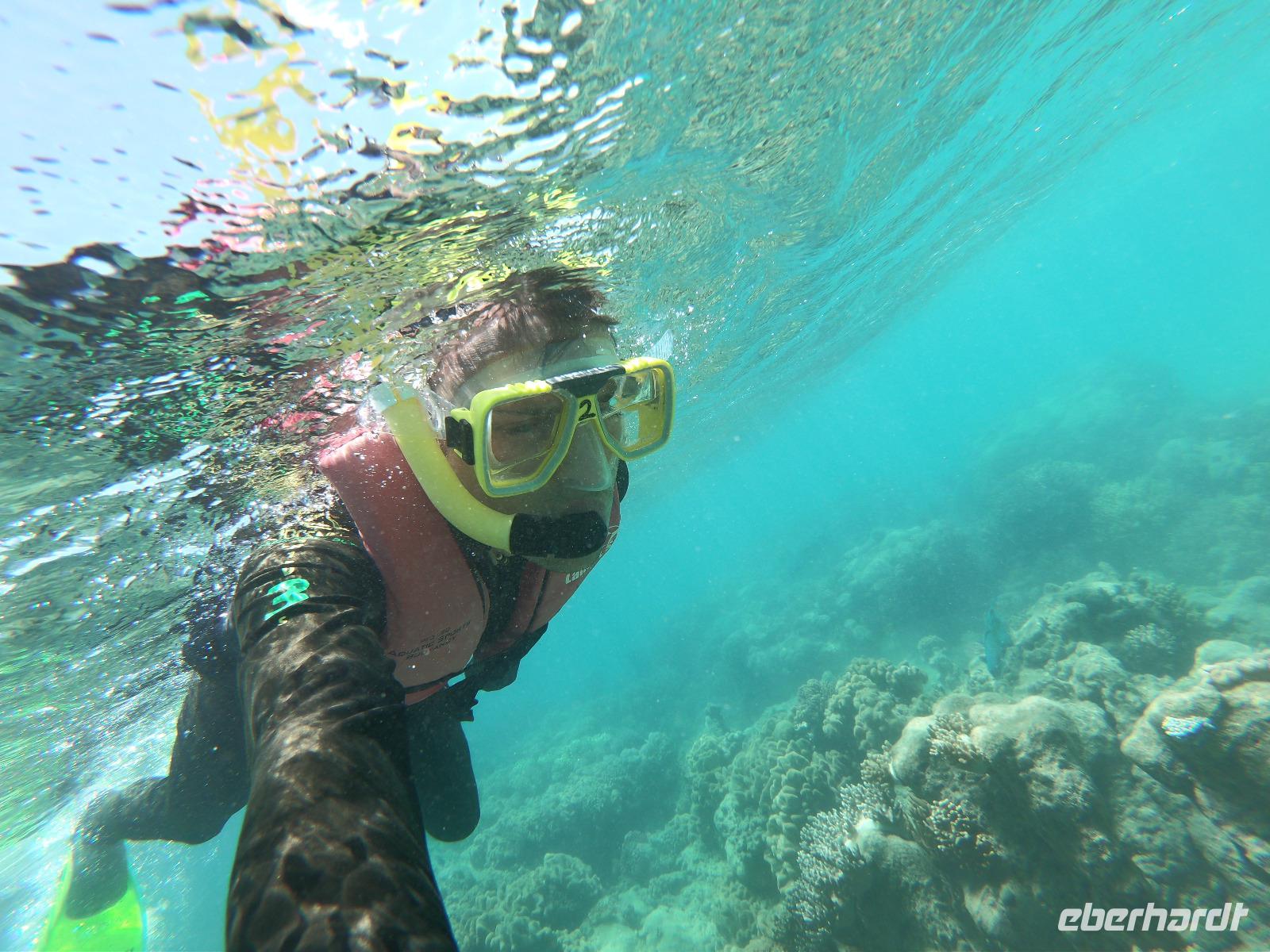 Schnorcheln im Great Barrier Reef