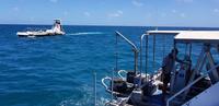Schnorcheln im Great Barrier Reef