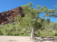 Simpsons Gap