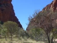 Simsons Gap
