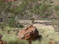 Simsons Gap