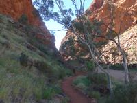 Simsons Gap