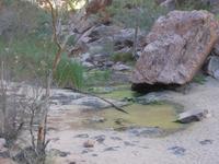 Simsons Gap