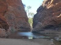 Simsons Gap
