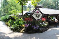 Singapur – Orchideengarten