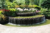 Singapur – Orchideengarten
