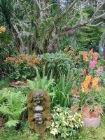 Singapur - Botanischer Garten