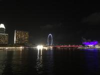 Singapur bei Nacht - Singapore Flyer