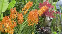 Singapur, Botanischer Garten
