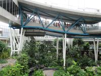 Singapur