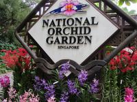 Singapur
