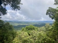 Skyrail Regenwald