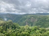 Skyrail Regenwald