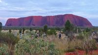 Sonnenaufgang am Uluru
