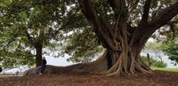 Spaziergang durch Sydney
