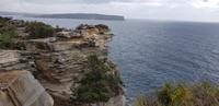 Stadtrundfahrt durch Sydney 
