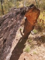 Standley Chasm, Mac Donnell Ranges