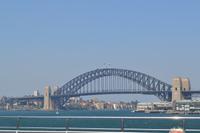 Sydney (26)