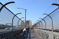 Sydney (31)