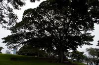Sydney