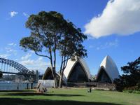 Sydney
