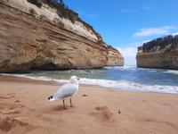 Sydney