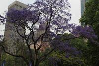 Sydney