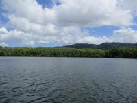 Tag im Daintree Nationalpark