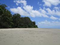 Tag im Daintree Nationalpark