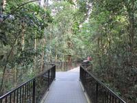 Tag im Daintree Nationalpark